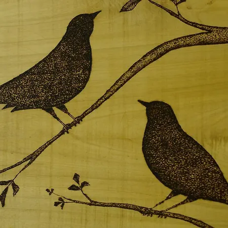 La Merlana 3* Morrovalle